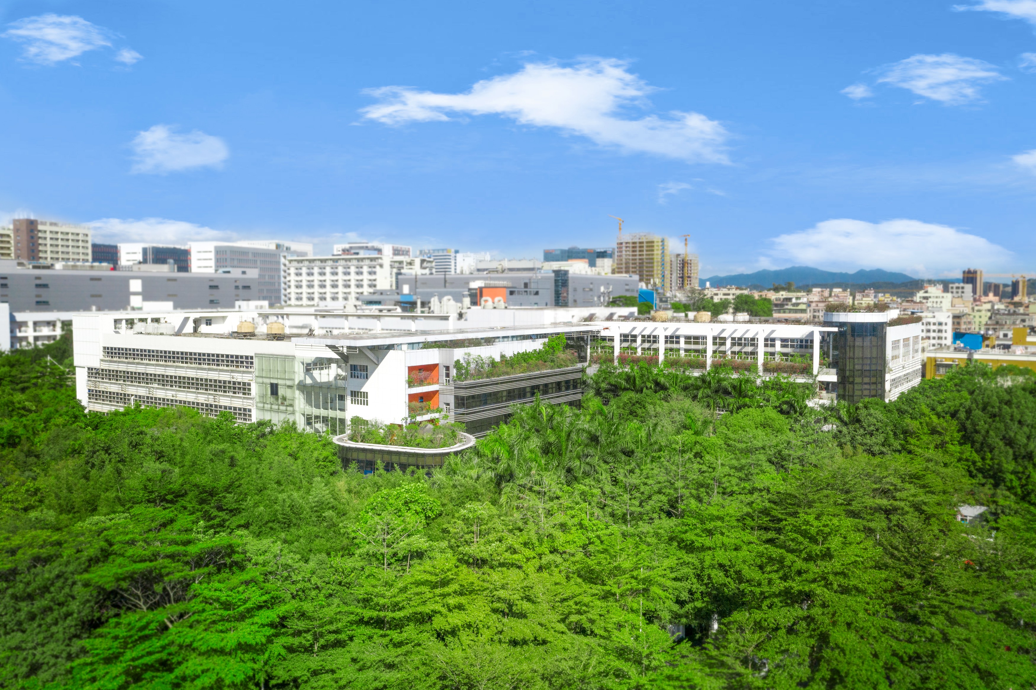 1767519660808699.jpg 1767519660808699.jpg